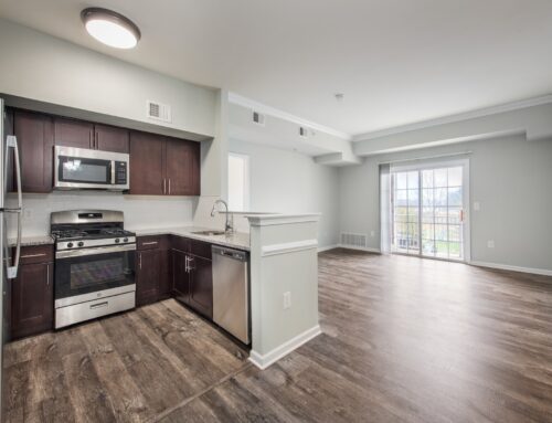 Why Princeton Apartments Are Perfect for Entertaining Guests