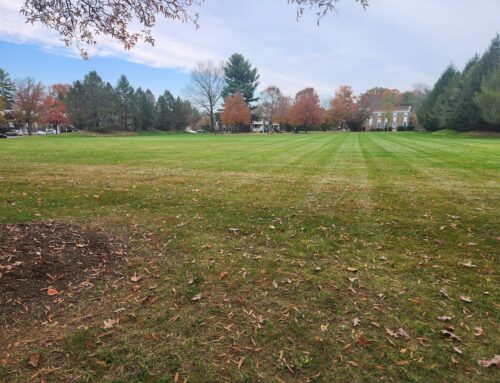 Top Reasons Why Princeton Is a Great Place to Live